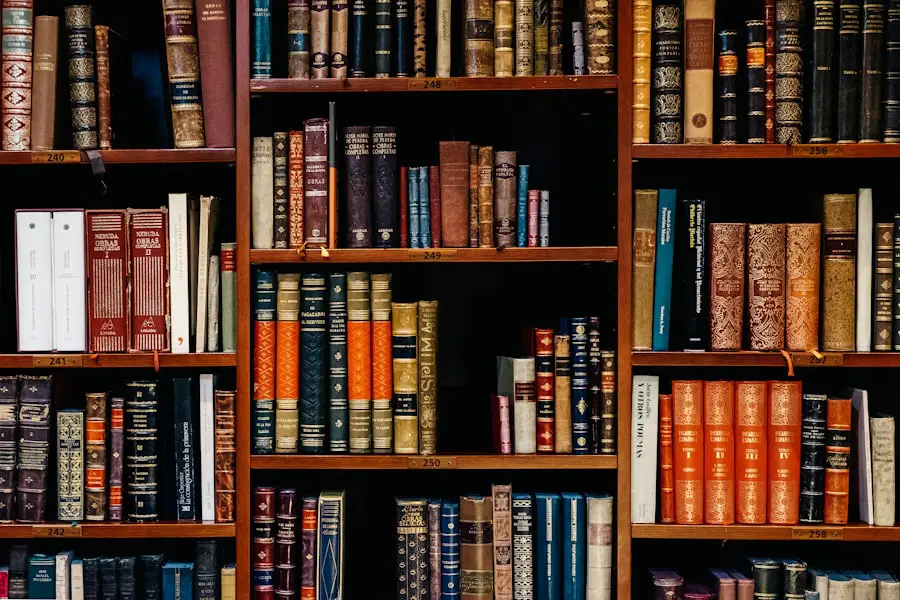 Rechtsbibliothek mit Aktenordnern